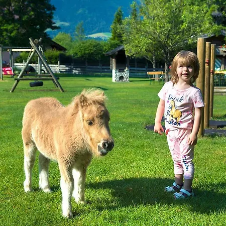 Ferienhaus / Chalet Lerch * Sankt Johann im Pongau