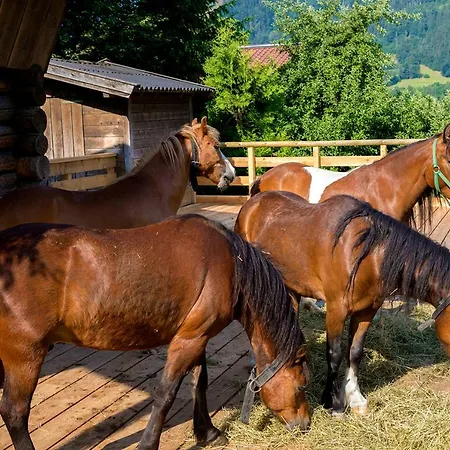 Ferienhaus / Chalet Lerch Sankt Johann im Pongau